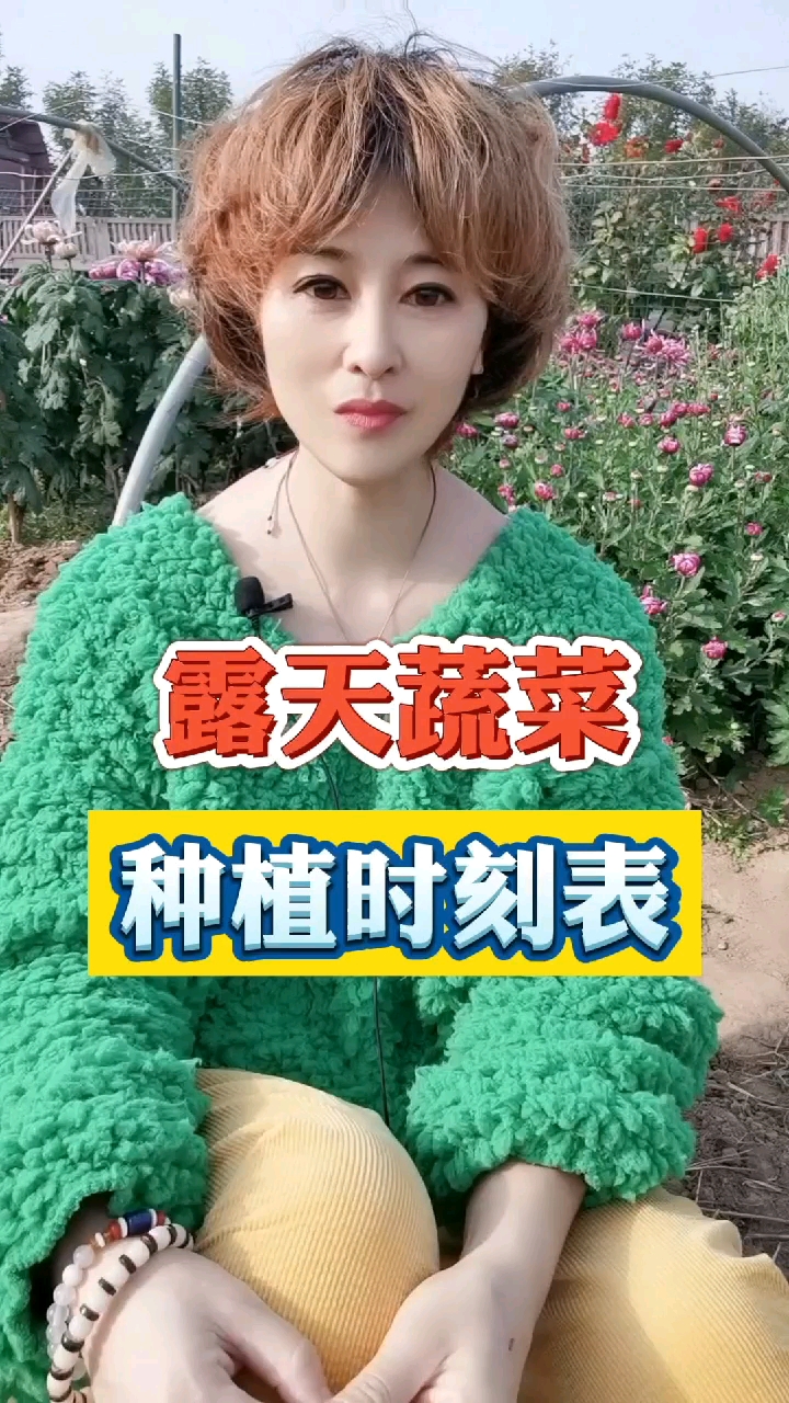 #农业#露天蔬菜种植时刻表