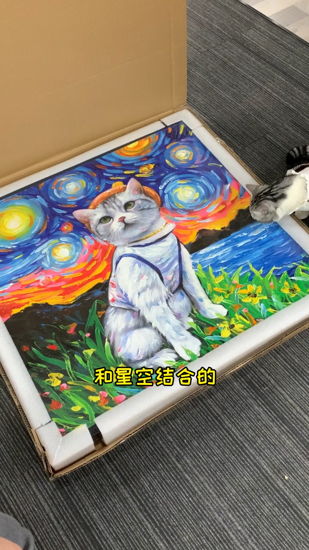 #小小爱宠萌化你#猫老板终于来上班了，第一件事就是拆快递