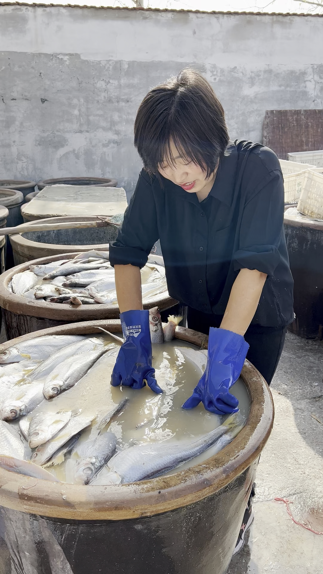 #美食#大缸里腌制的白鳞鱼,煎炸蒸烤都好吃,小时候的味道