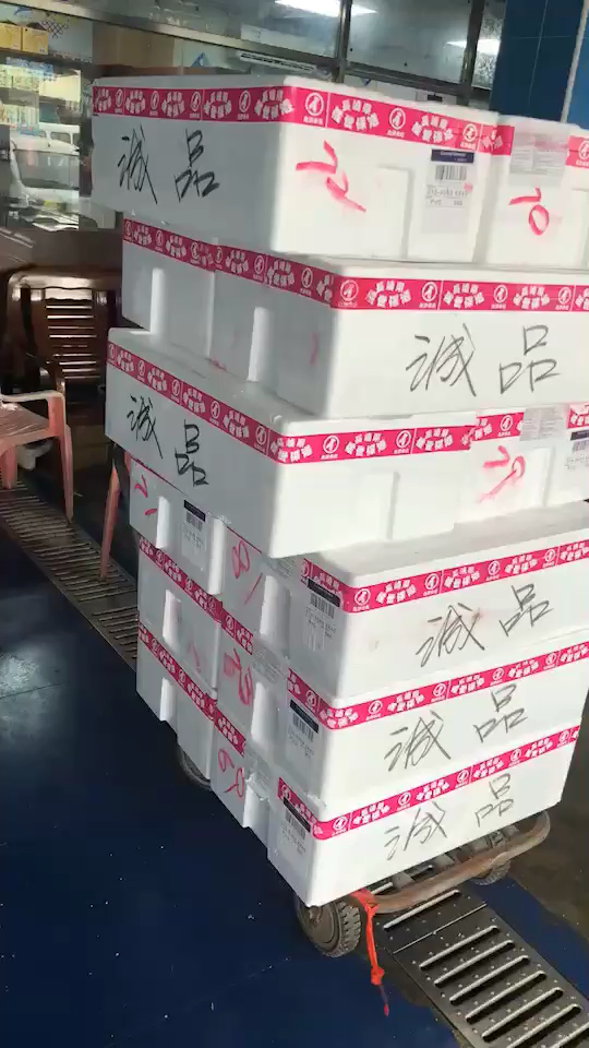池鱼王,日本池鱼王