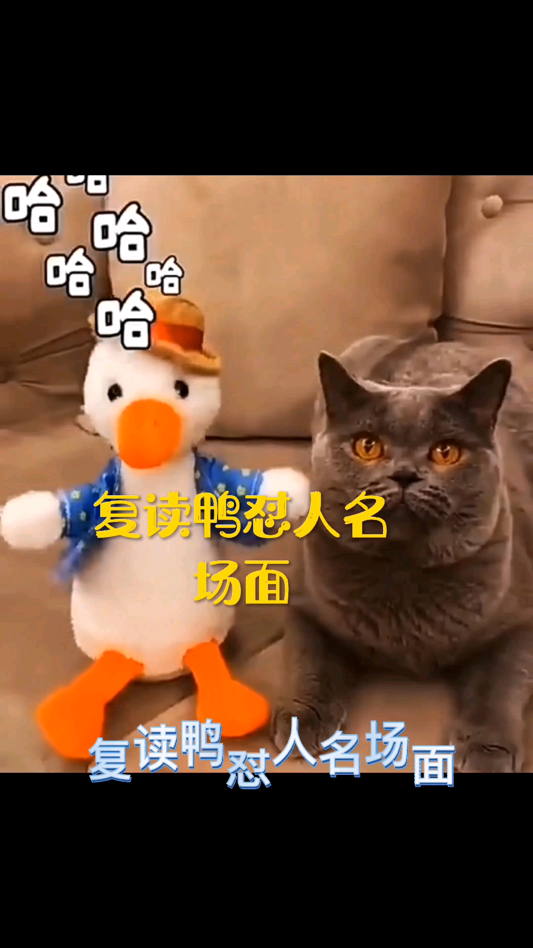 #搞笑段子剧#复读鸭怼人名场面