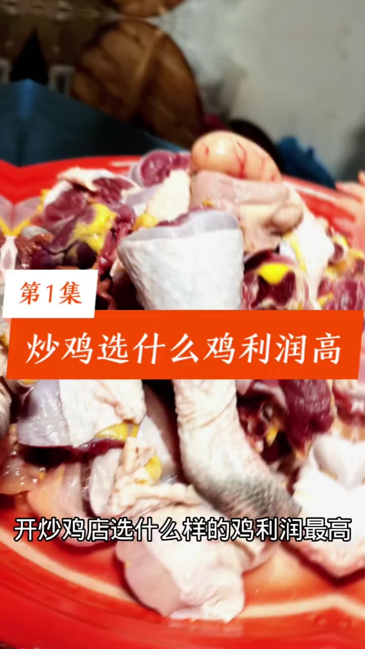 #炒鸡#第1集:炒鸡选什么鸡利润高【做好炒鸡72招】