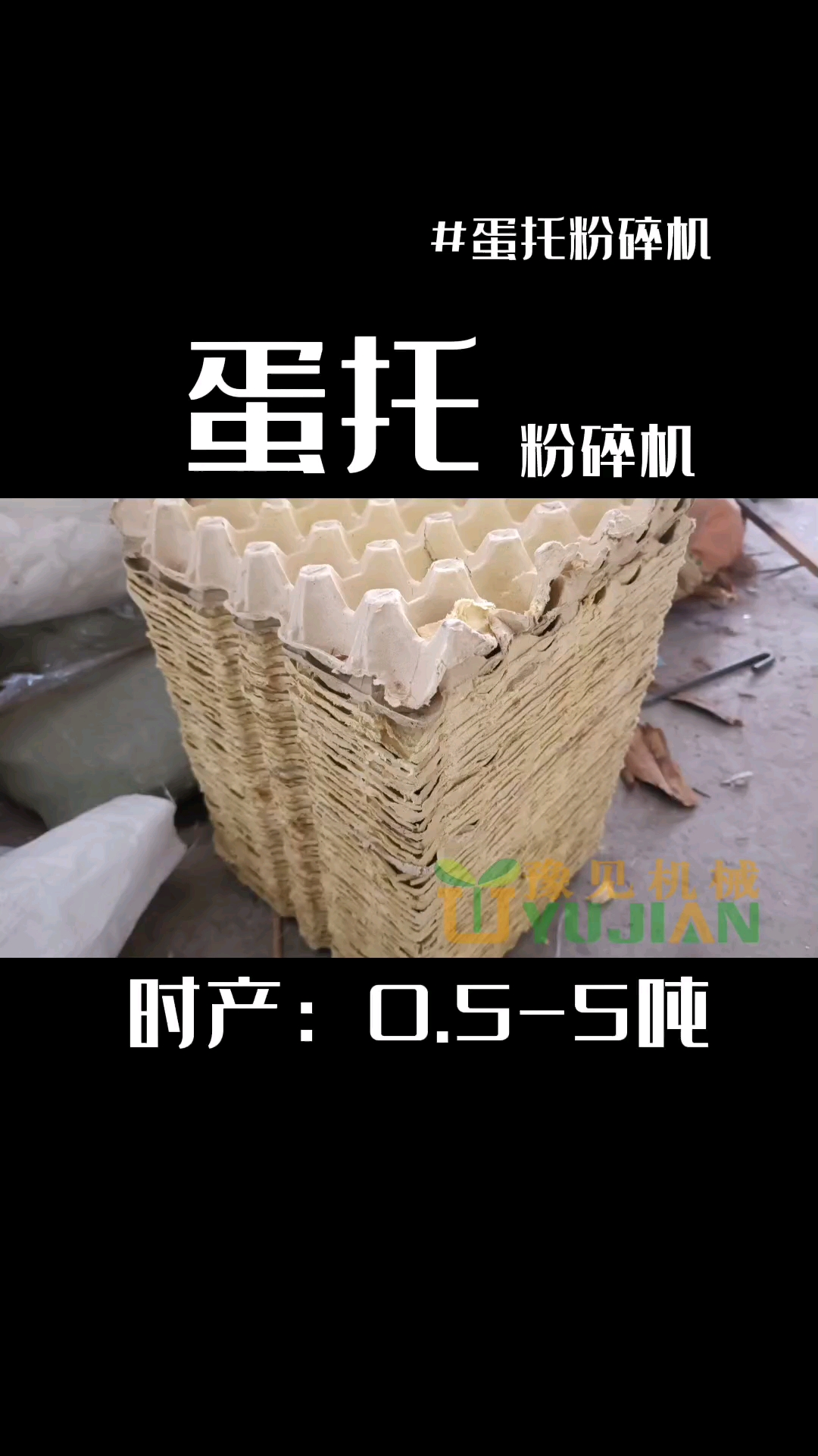 #蛋托粉碎机#今天给大家介绍:蛋托粉碎机,出料粗细可调,了解更多:小型蛋托粉碎机,泡沫蛋托