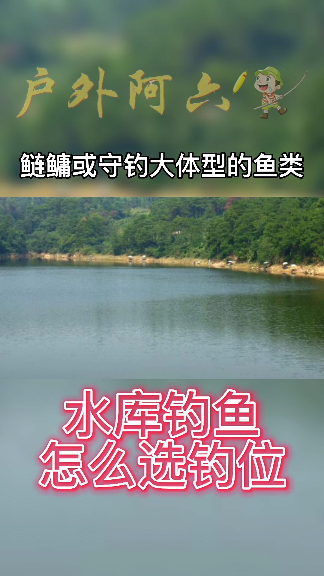 #钓鱼#水库钓鱼怎么选钓位,以下4个黄金钓位不容错过
