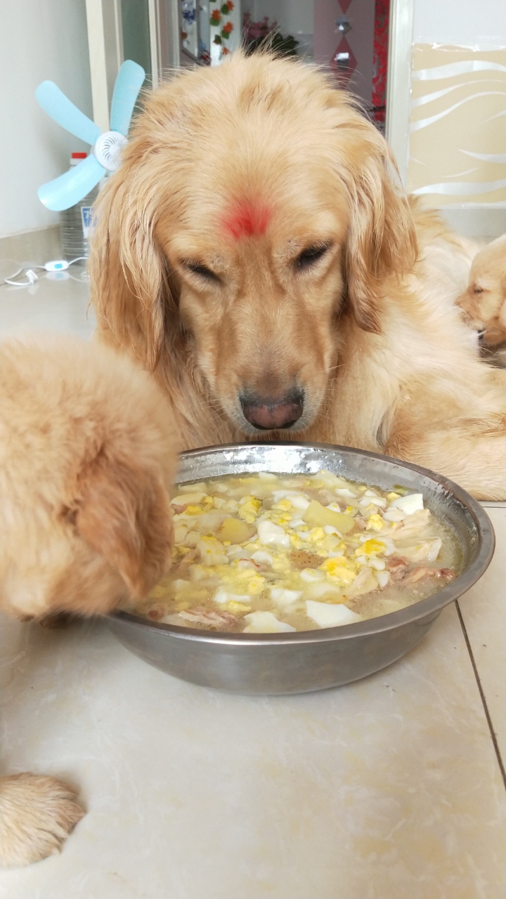 土豆大骨鸡汤,自己不舍得喝,等孩子喝,