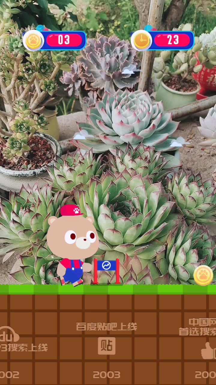 #我还是曾经那个少年#花园