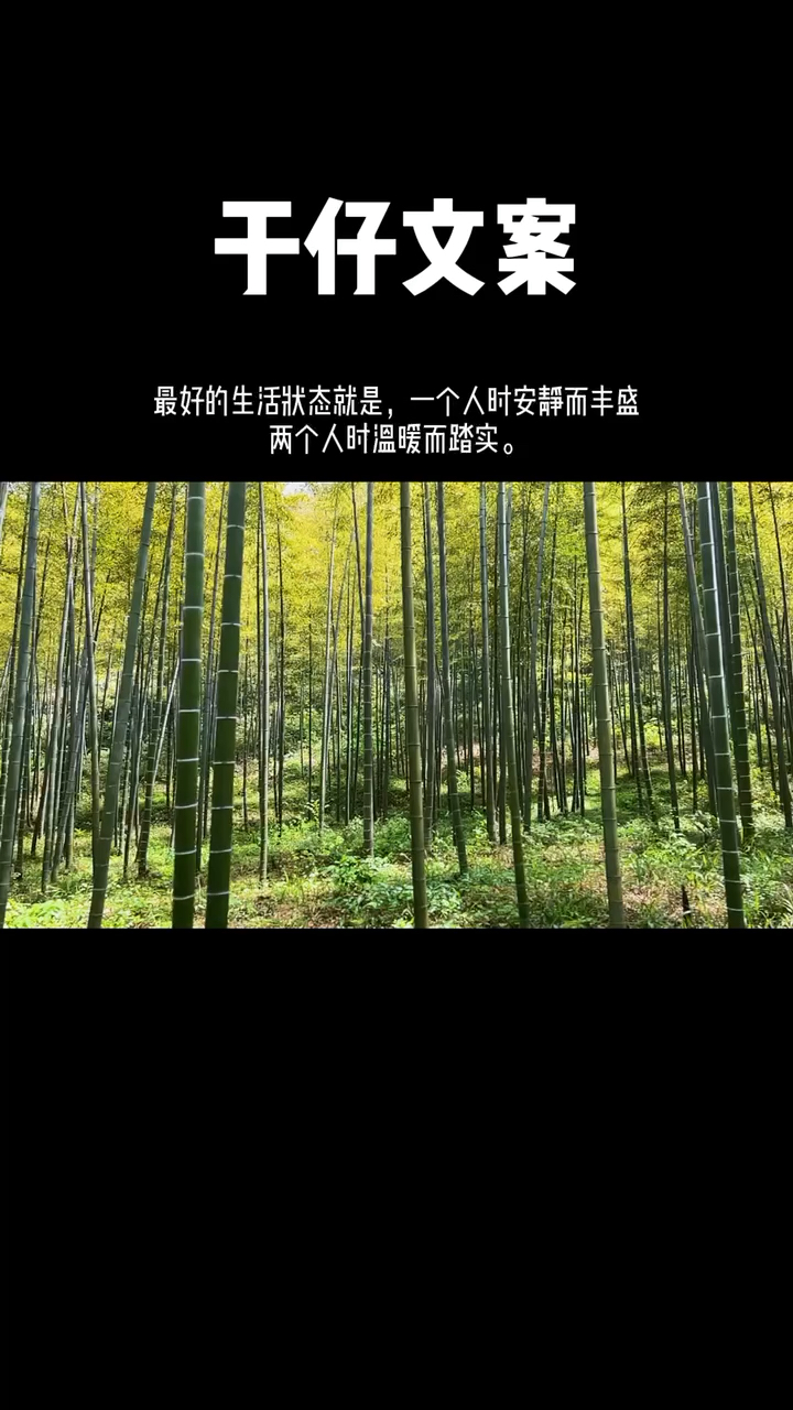 #文案#最好的生活状态就是,一个人时安静而丰盛两个人时温暖而踏实。