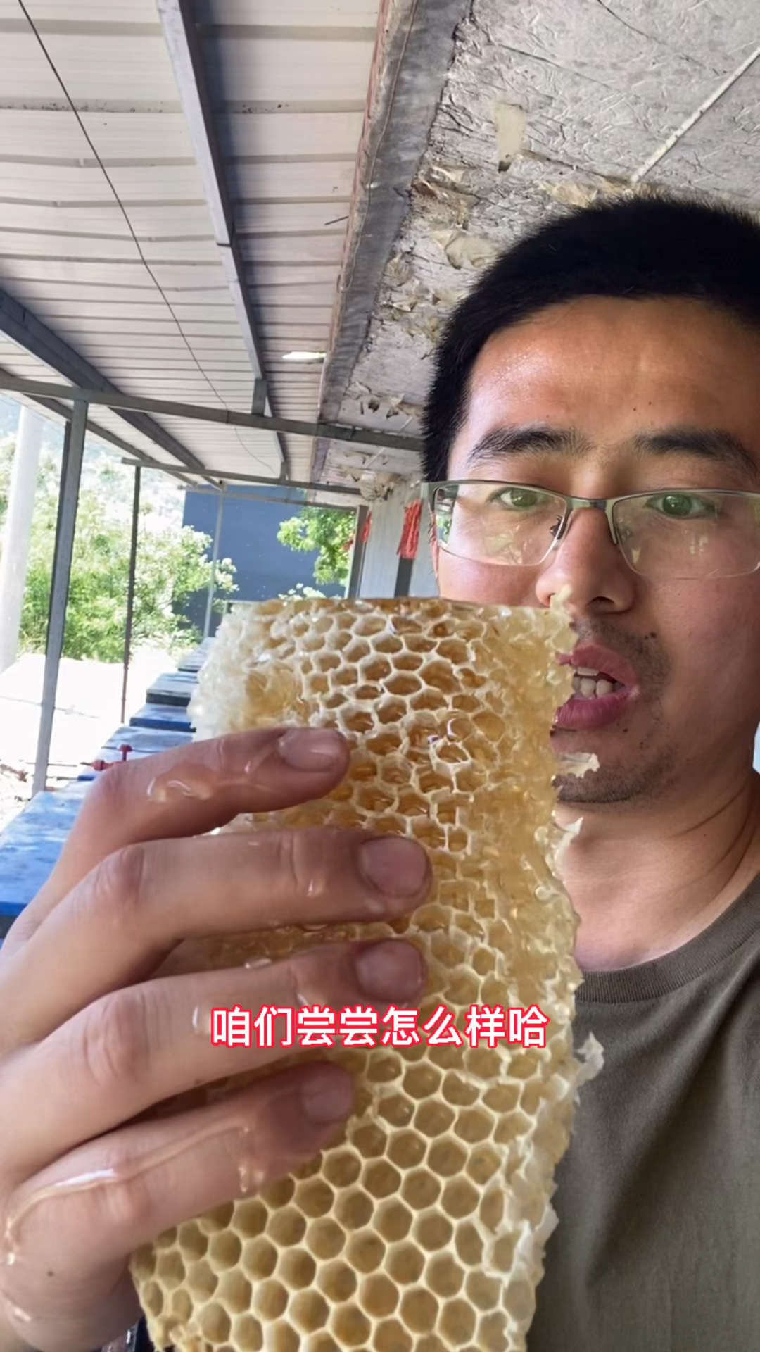 #蜂蜜#这样的槐花蜜美不美
