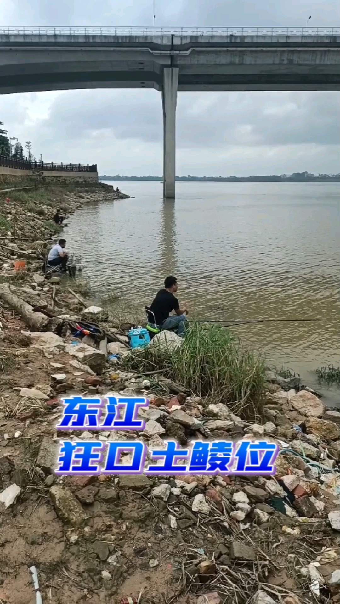 #钓鱼#东江土鲮鱼钓位,狂口钓位多多