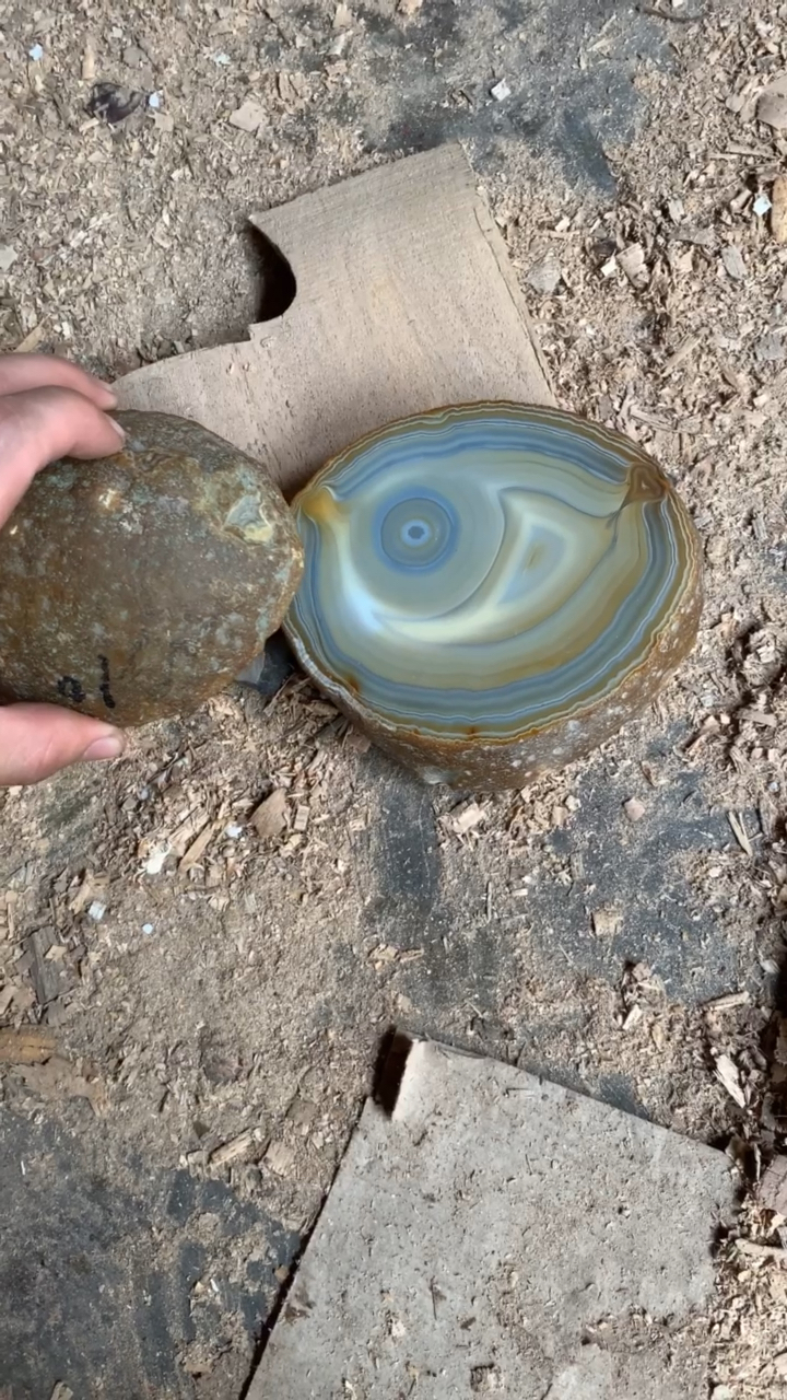 祝大家年年有鱼