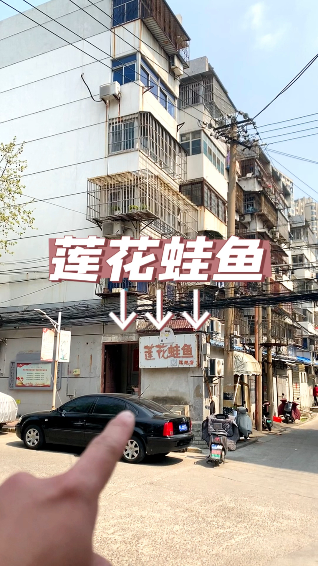 路过莲花蛙鱼,喝端小木豆腐脑
