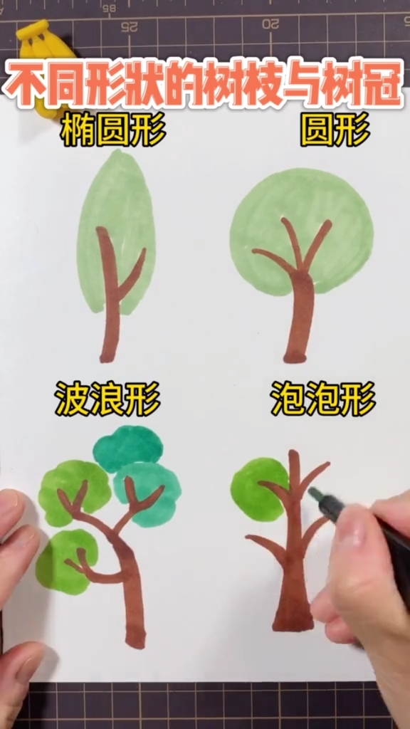 #创意简笔画#常见树形简笔画喜欢吗