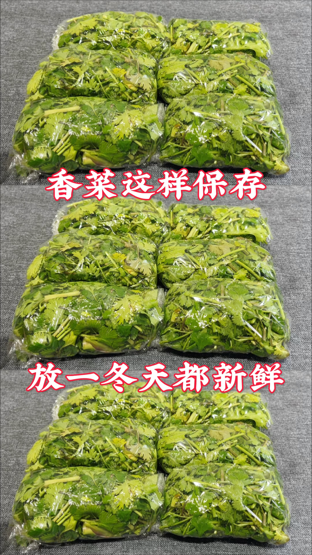 #在家做个拿手菜#香菜这样储存,不变色不变味,放一冬天都新鲜