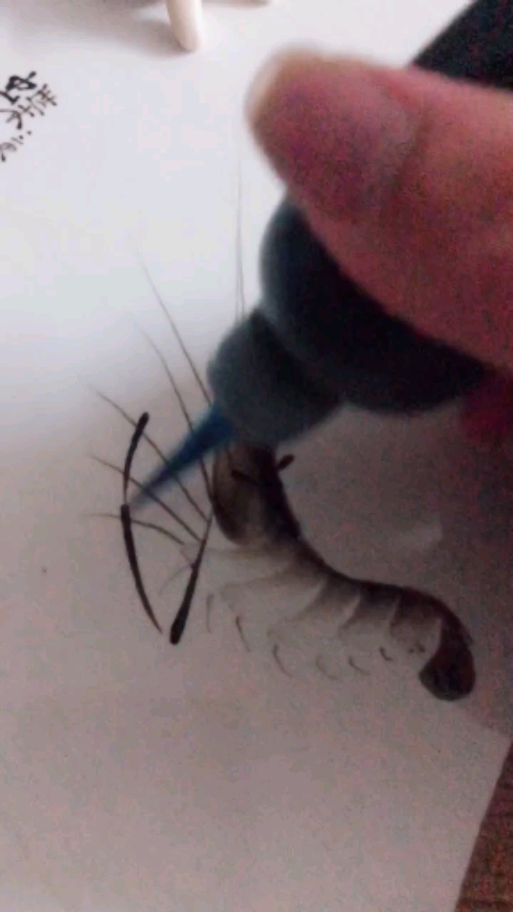 #果酱画#小虾米