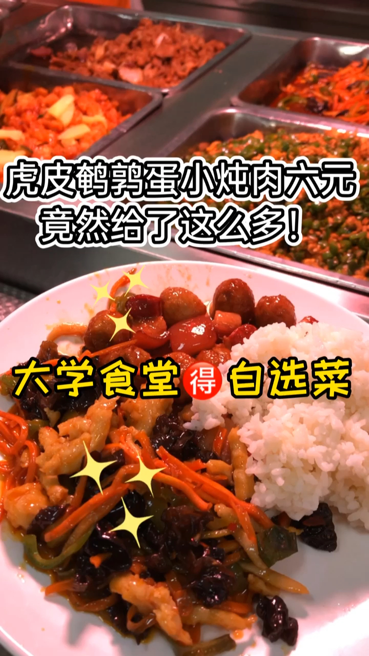 #深夜放毒#大学食堂的自选菜，虎皮鹌鹑蛋小炖肉室友下了两碗饭，太香了～