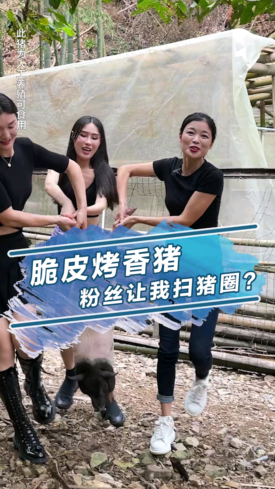 带小姐妹们勇闯猪圈,最后的烤香猪惊艳四座!