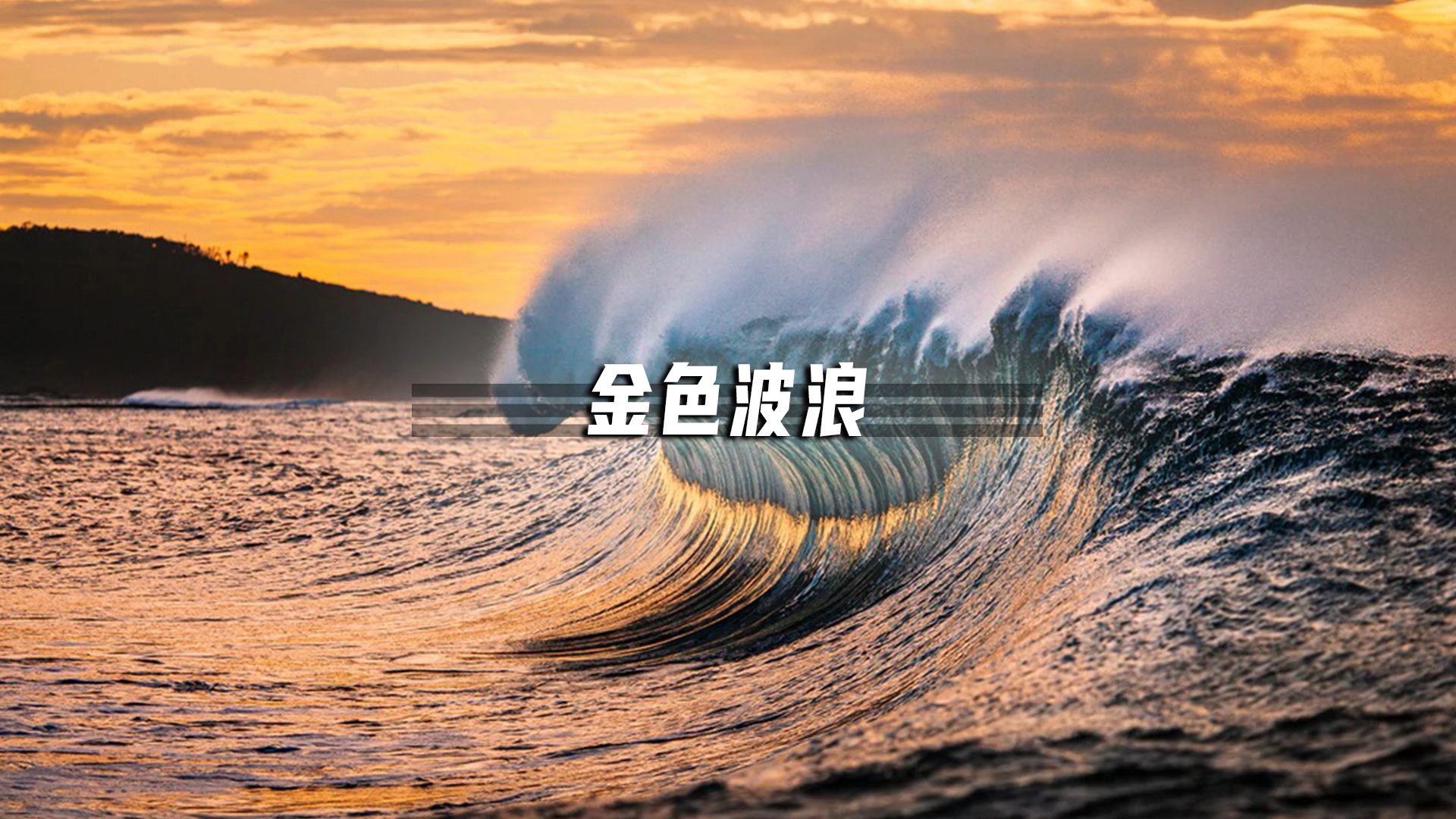 #破壳计划#从4毛一斤到11万一条,大黄鱼到底经历了什么