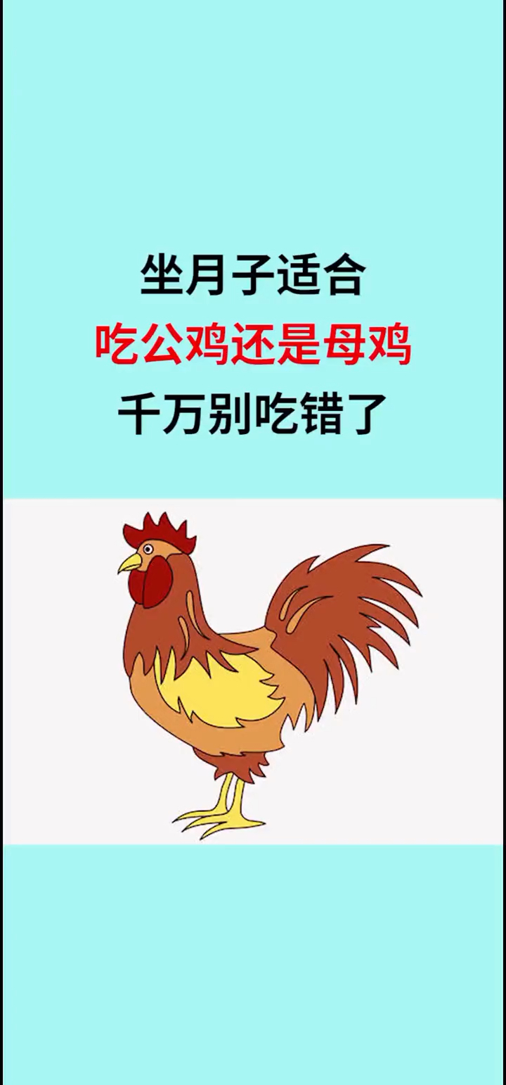 坐月子适合吃公鸡还是母鸡?一起来看看吧