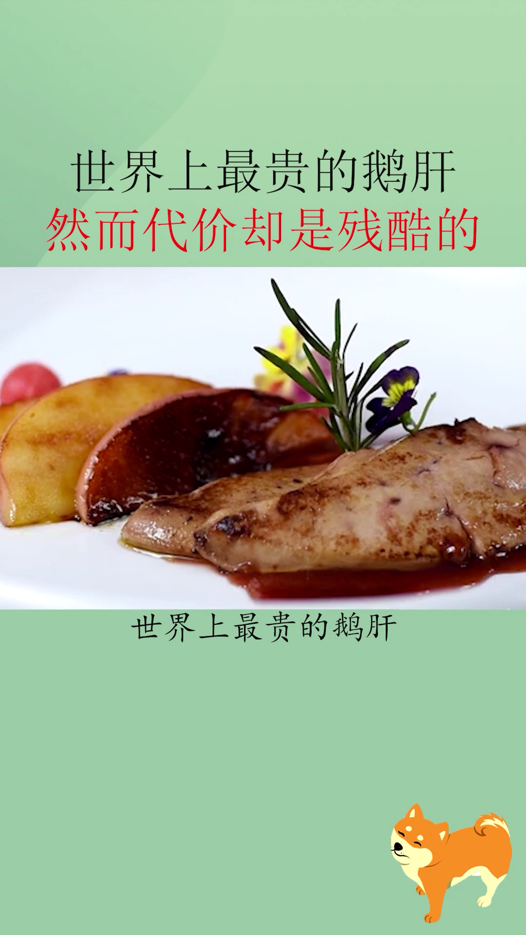#知识科普#世界上最贵的鹅肝