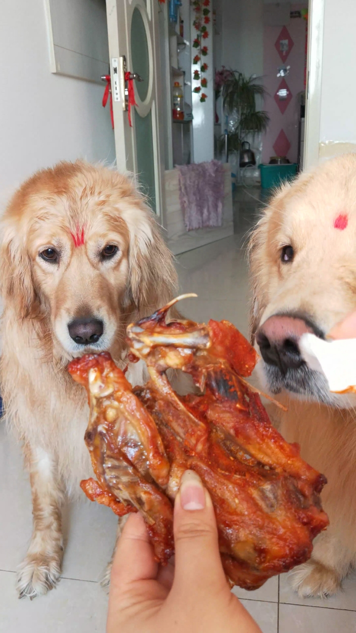 烤鸡背好吃,就是肉少