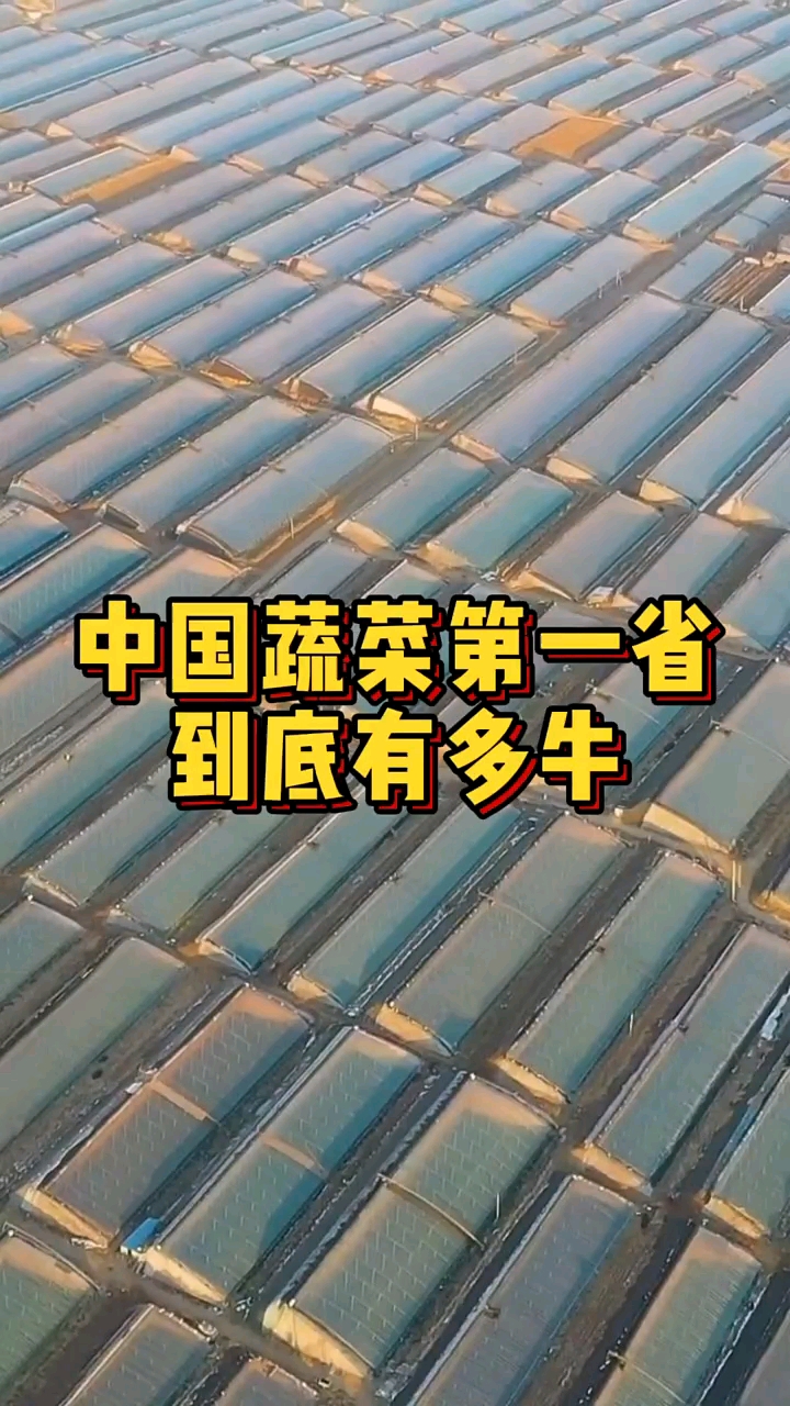 #日光温室#冬暖式大棚蔬菜大棚中国蔬菜第一大省——山东,到底有多牛?#农业#新农人