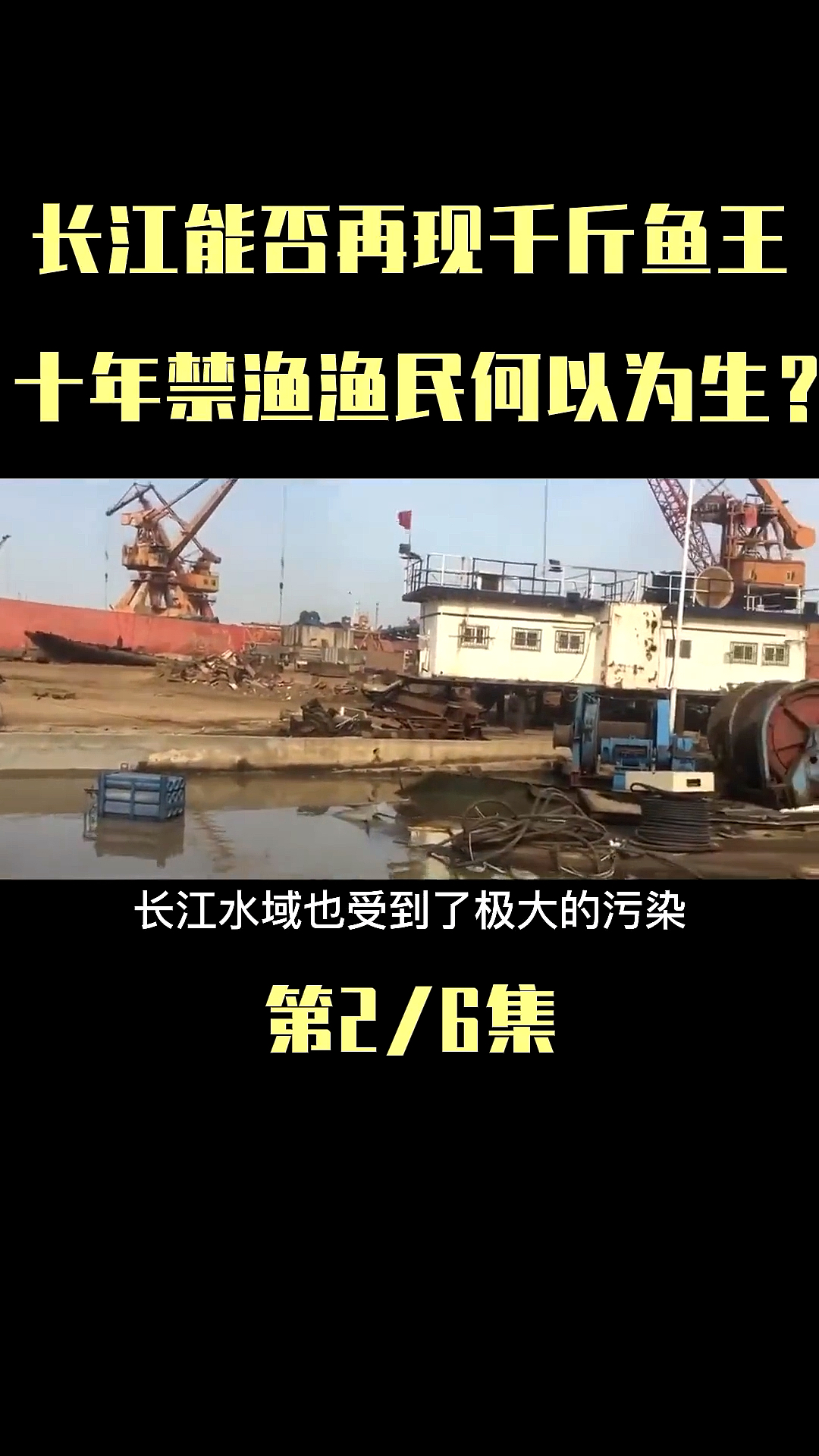 #我要上热门#长江能否再现千斤鱼王?
