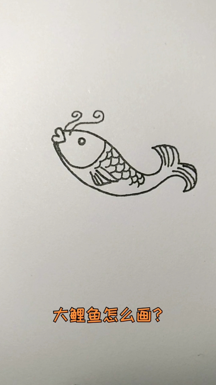 #创意简笔画#大鲤鱼怎么画?