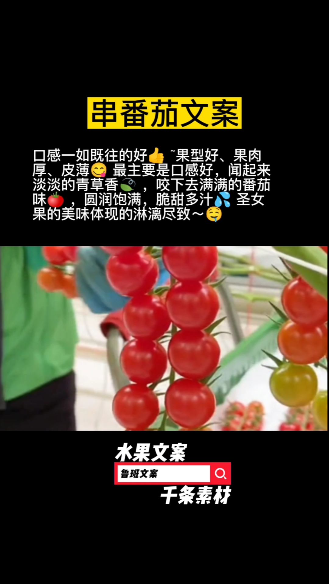 让水果文案装饰水果店的朋友圈,串番茄文案。#水果店#水果文案#串番茄文案