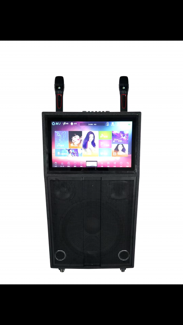 有源音响带点歌机功放话筒wifi蓝牙在线看电影电视手机投屏多功能一体