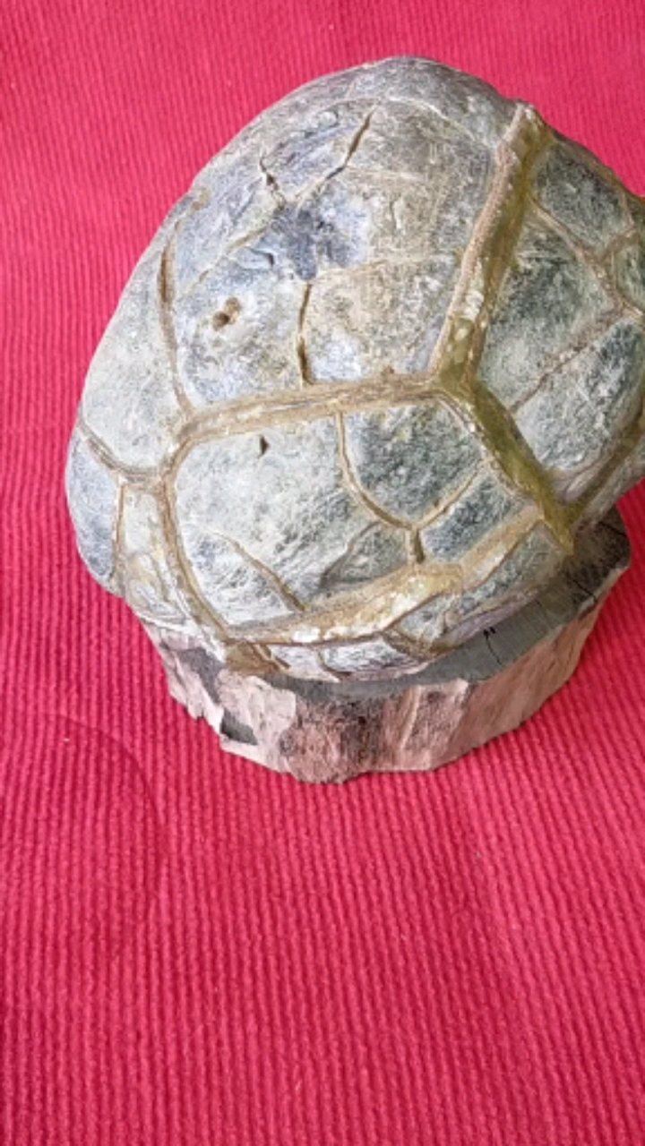 天下奇石之龟背石