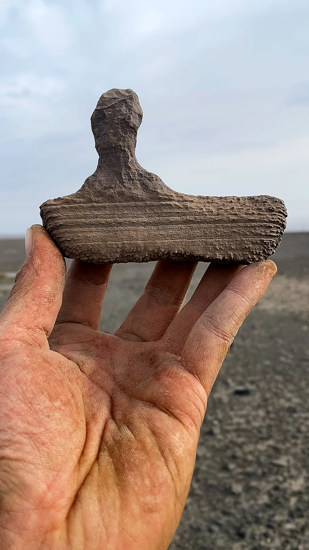 捡石头#戈壁滩上捡奇石