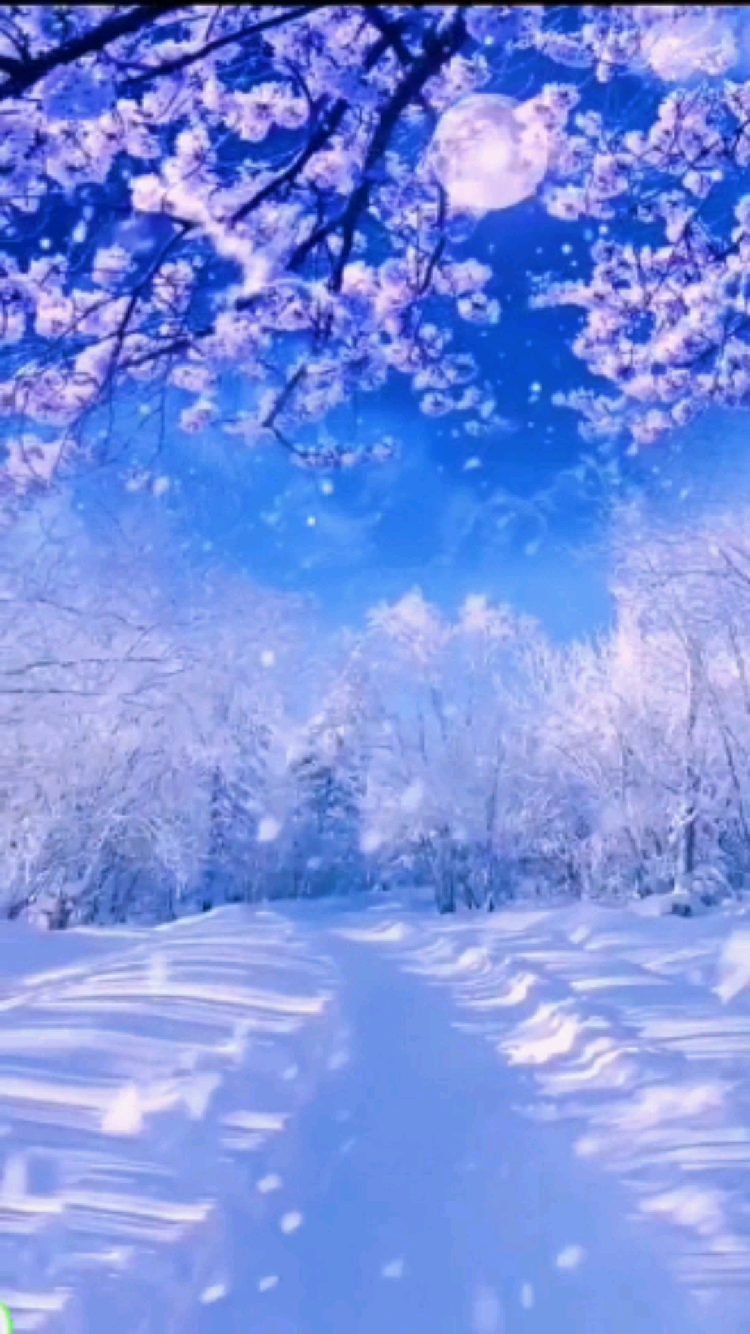 会动的雪花飞图片图片