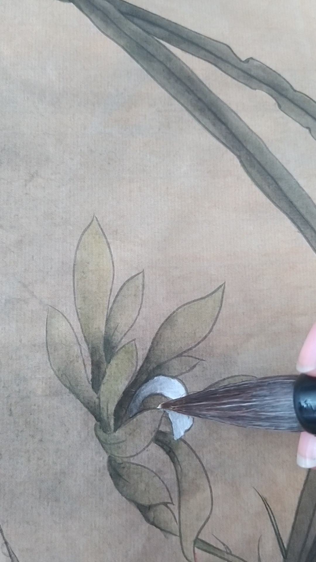 画画原来如此简单#《秋兰绽蕊图》白色提染花蕊.