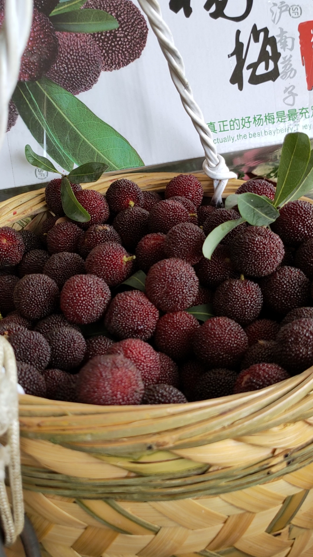 杨梅#杨梅果园采摘兰溪杨梅苗木基地-度小视