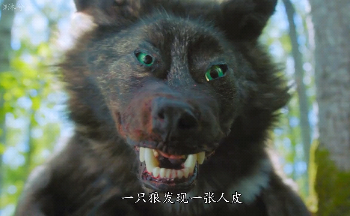 一只狼披着人皮的狼凭着自己的努力过上了幸福的生活
