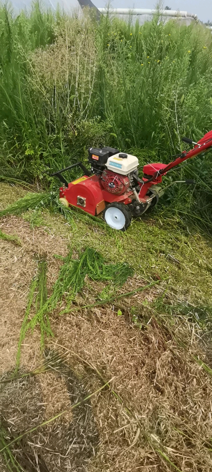 果园碎草机#手推式碎草机,果园碎草机