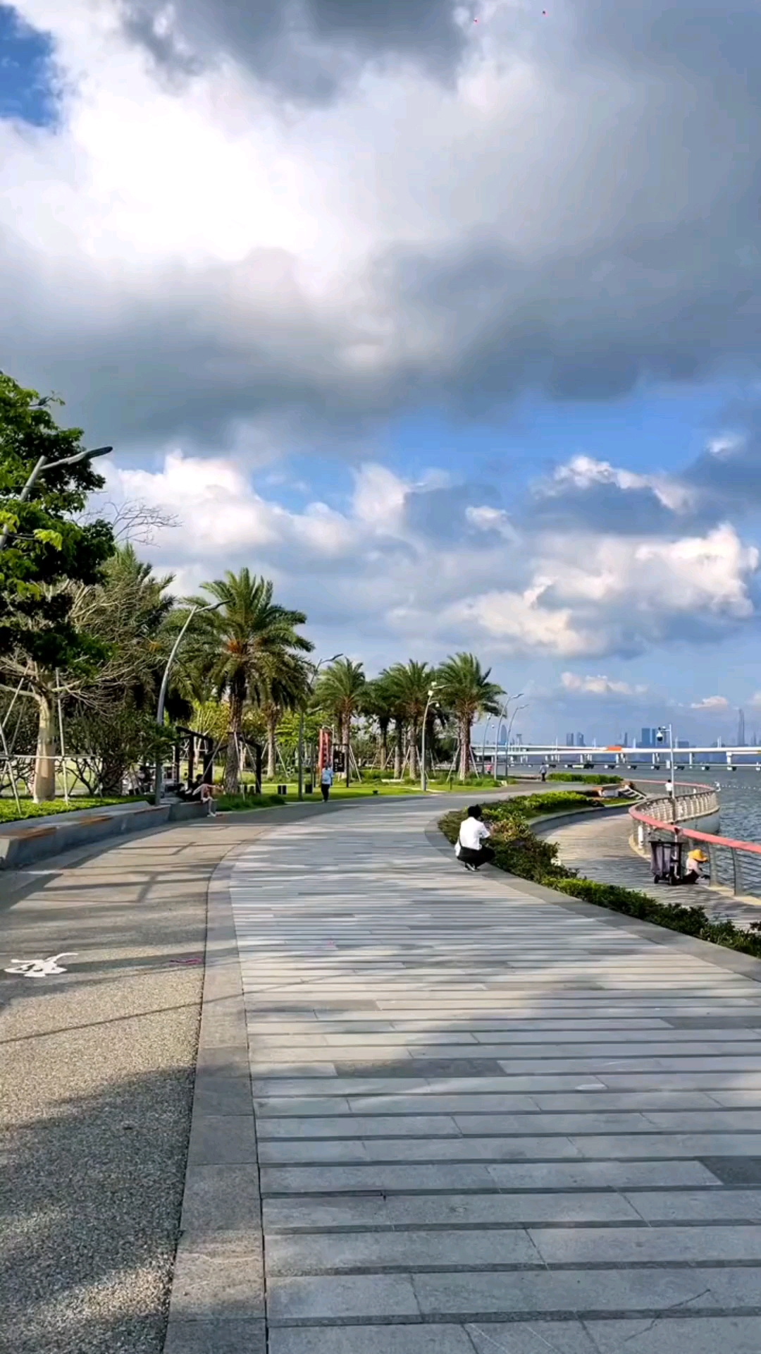 深圳湾公园碧水蓝天白天景色如画太美了