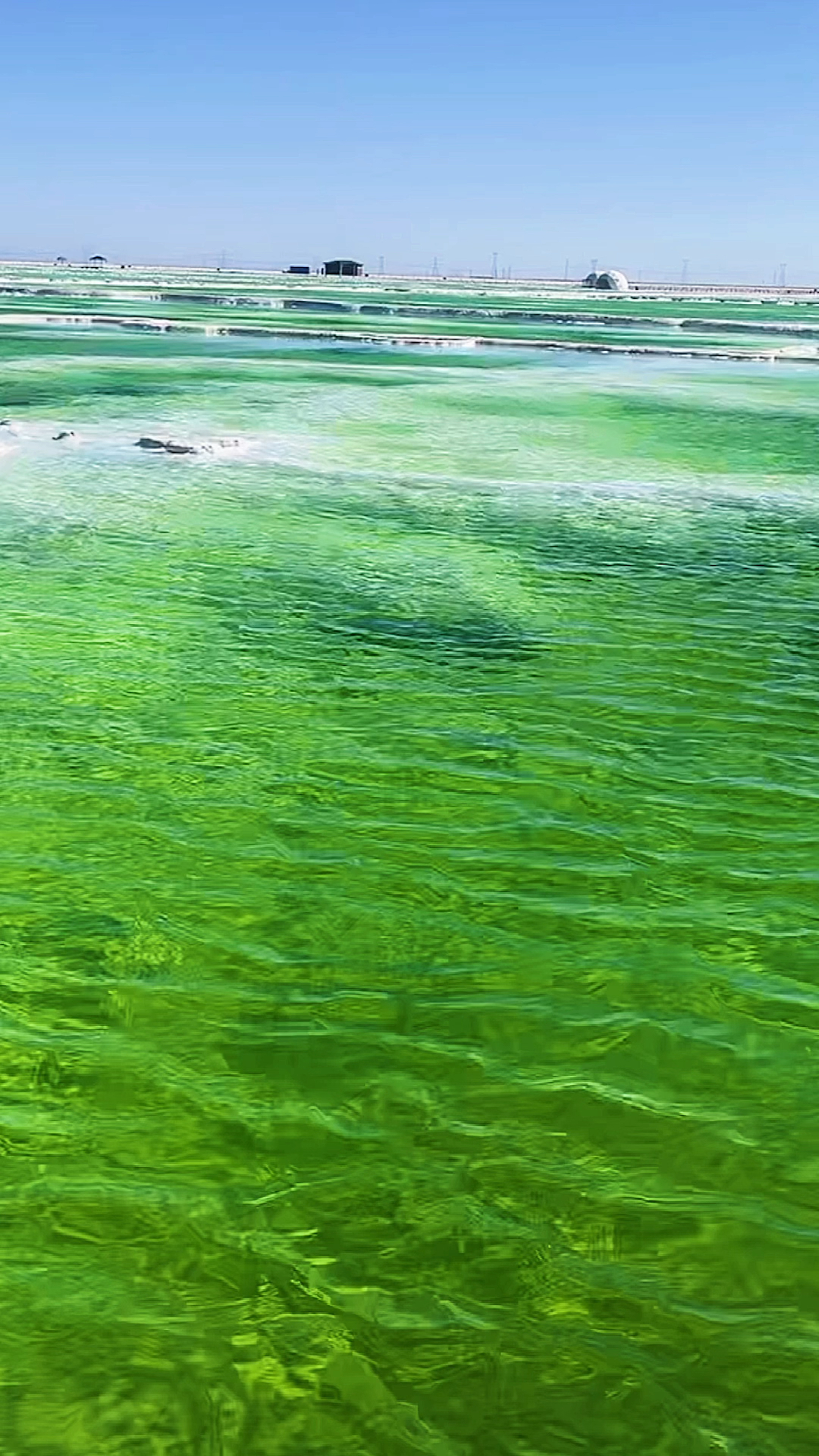 它不惧严寒常年碧绿色湖面清澈见底