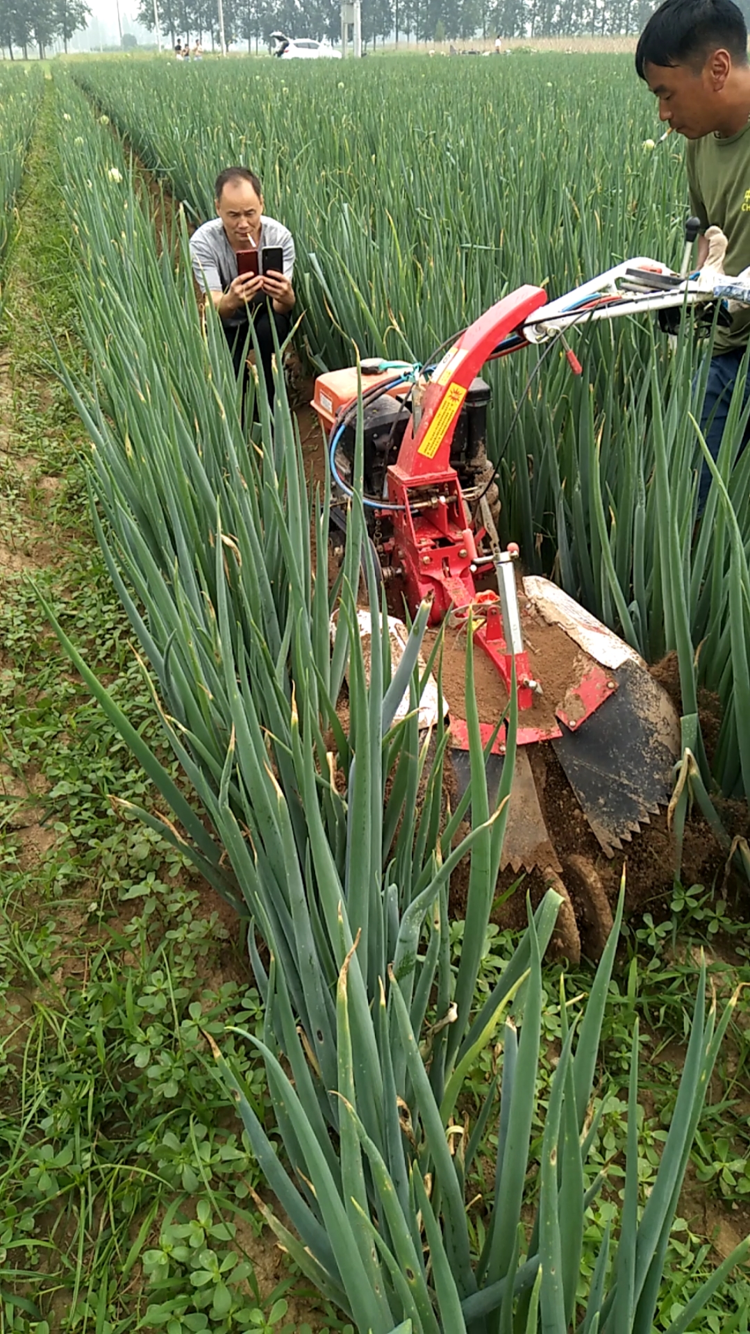 大葱培土机价格#开沟培土机大葱培土机多功能微耕机开沟机厂家