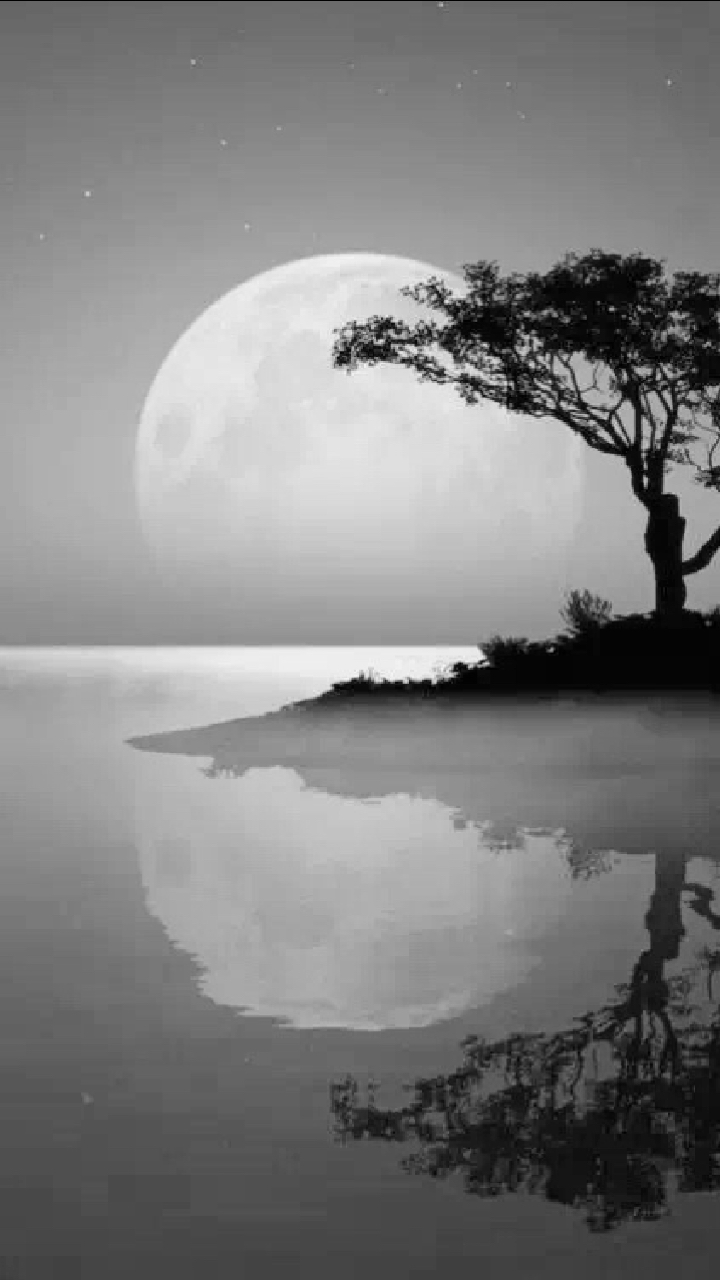 风清月明下,渡人