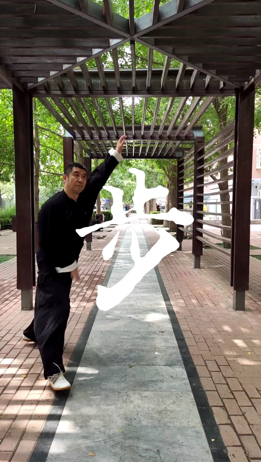 传统武术#白猿通背拳-拳术五要(七)