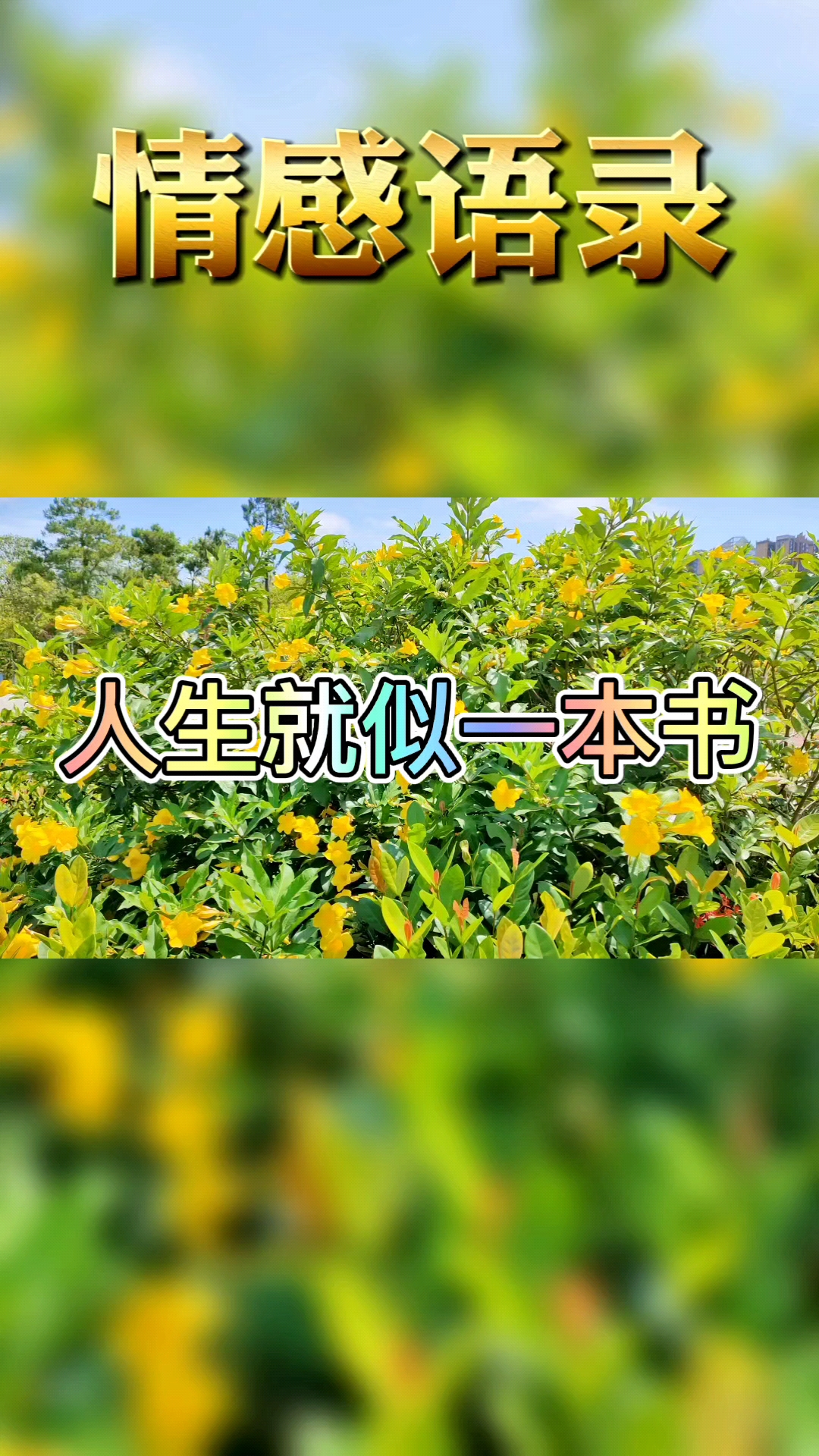 情感故事#人生就是一本书,只会越读越精,越写越细.情感语录人生感悟