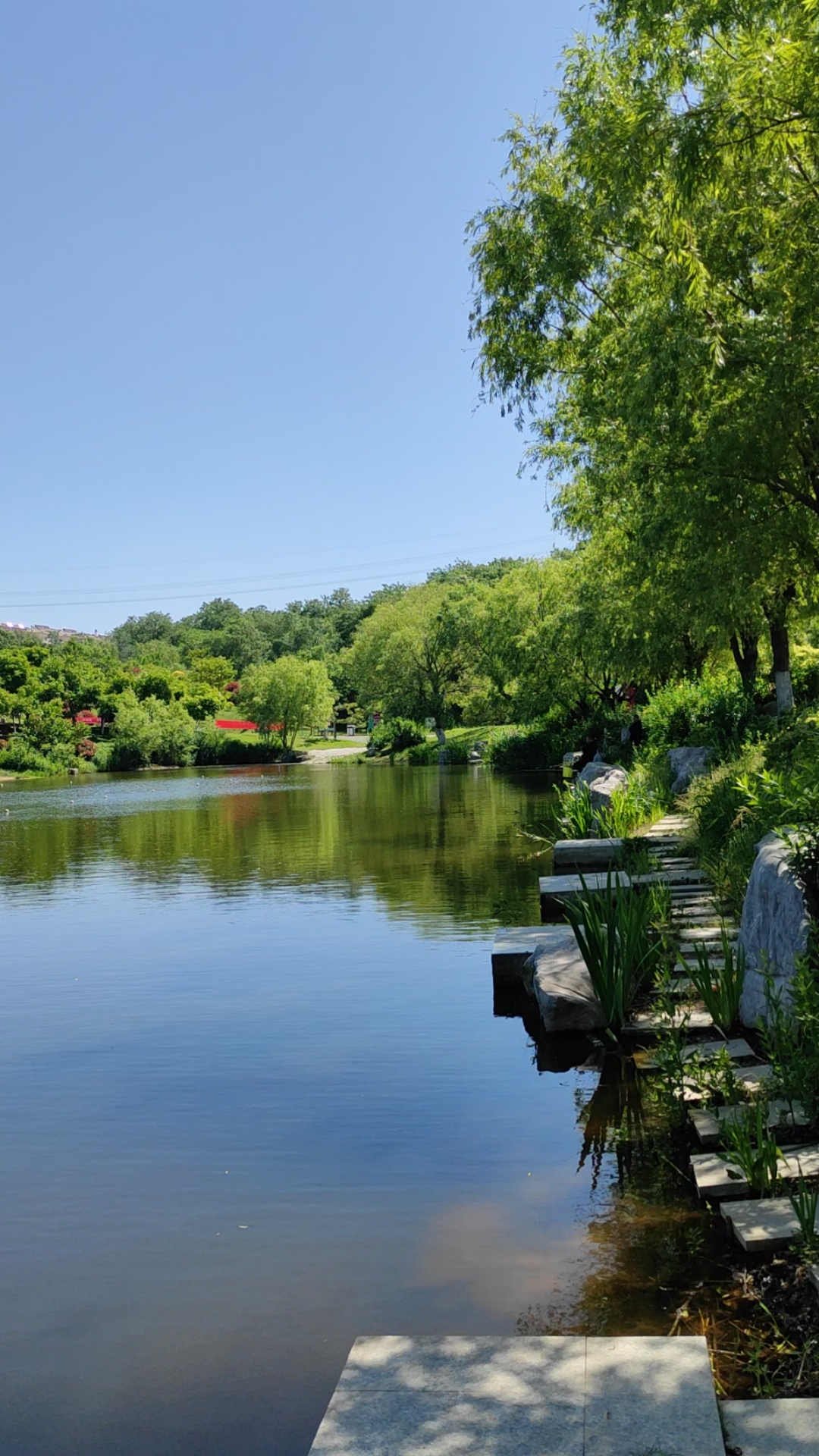 你好,夏天#打卡家长公园,山清水秀,景色宜人.