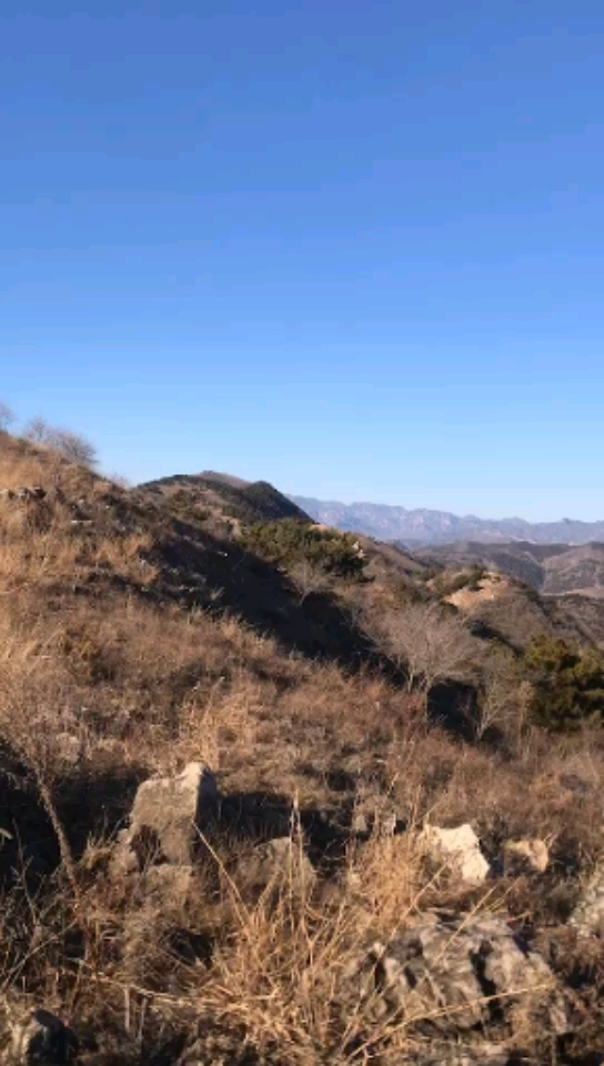 音为有你#荒山野岭