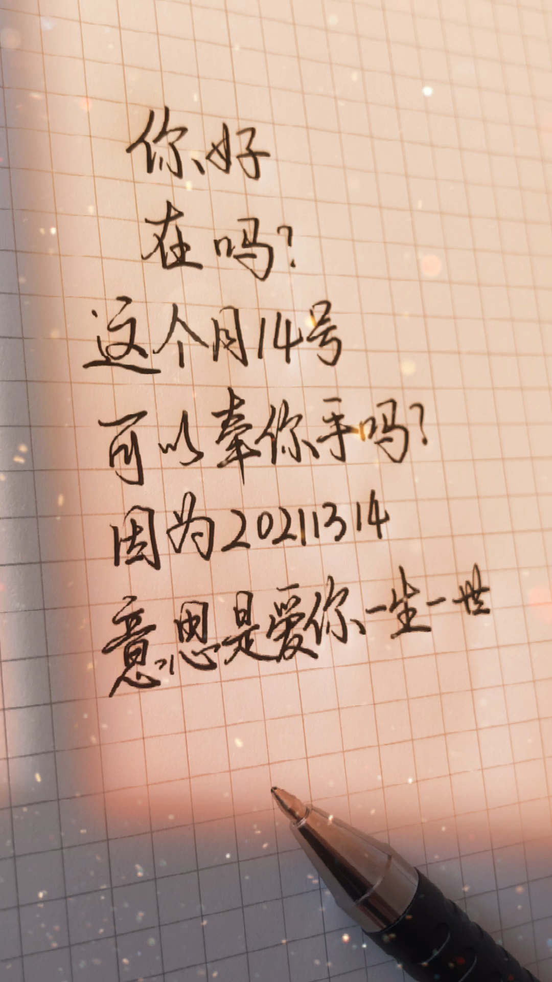 #手写文字#20211314意思是爱你一生一世