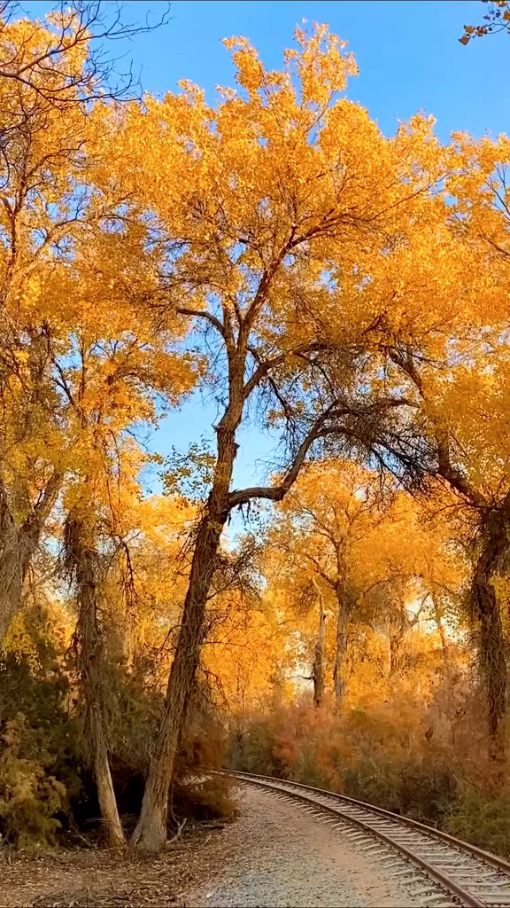 最美风景#人生最美好的旅行就是在陌生的地方发现一种久违的感动.