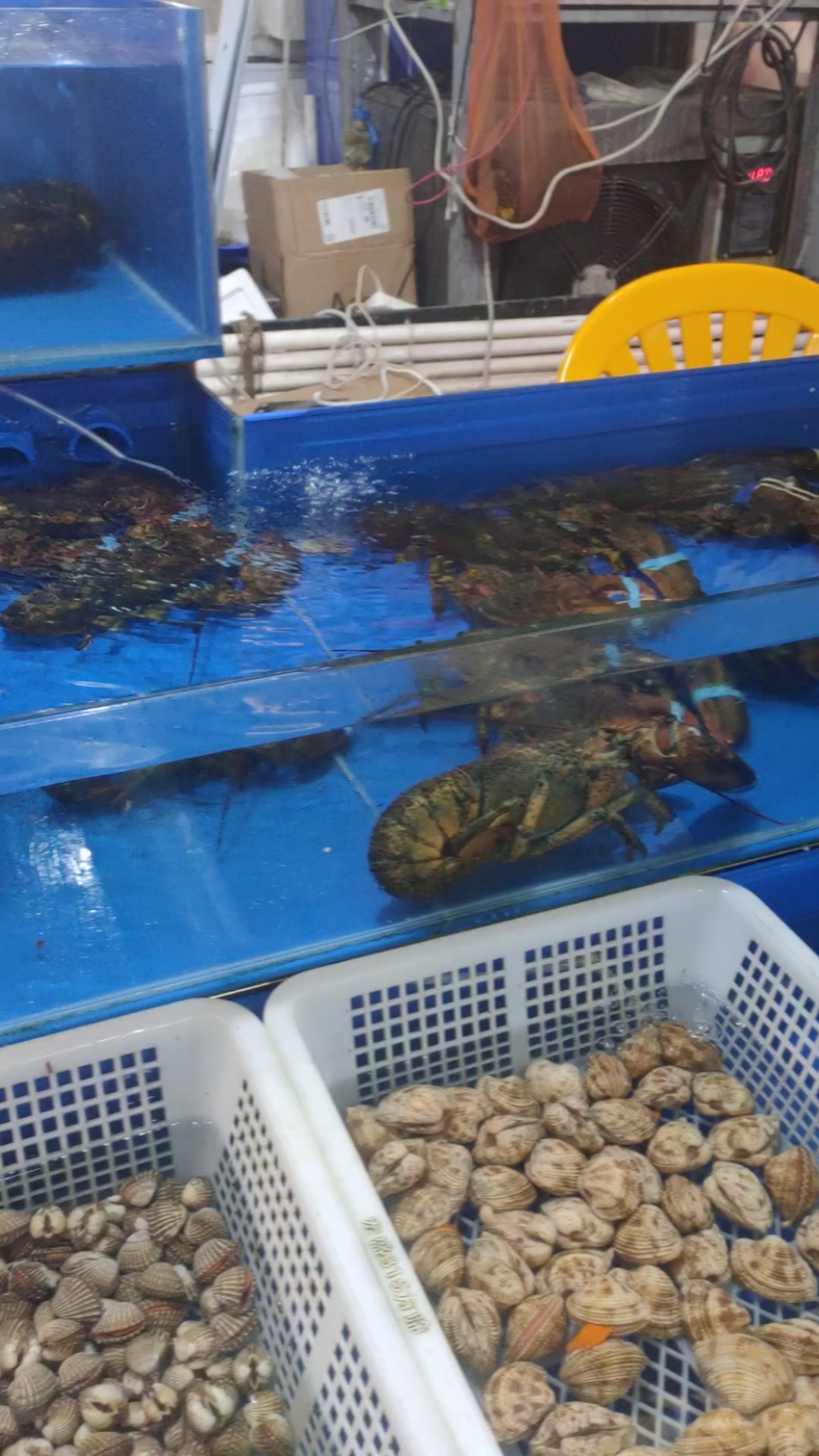 不一样的人生#东莞市沙田镇海鲜市场