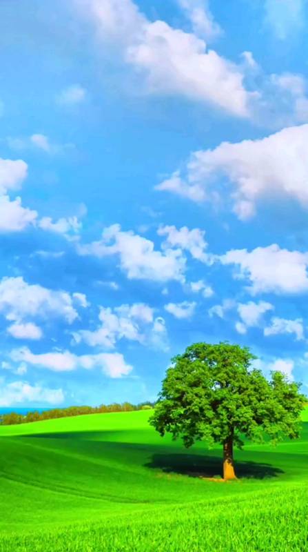 人要发财起来,走运也就三五年的功夫儿