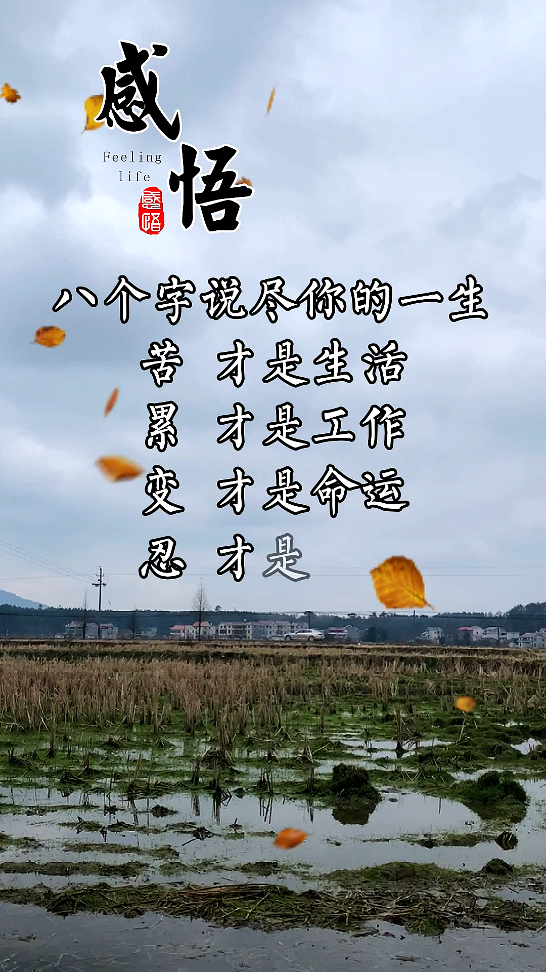 破壳计划#人生智慧:八个字说尽你的一生
