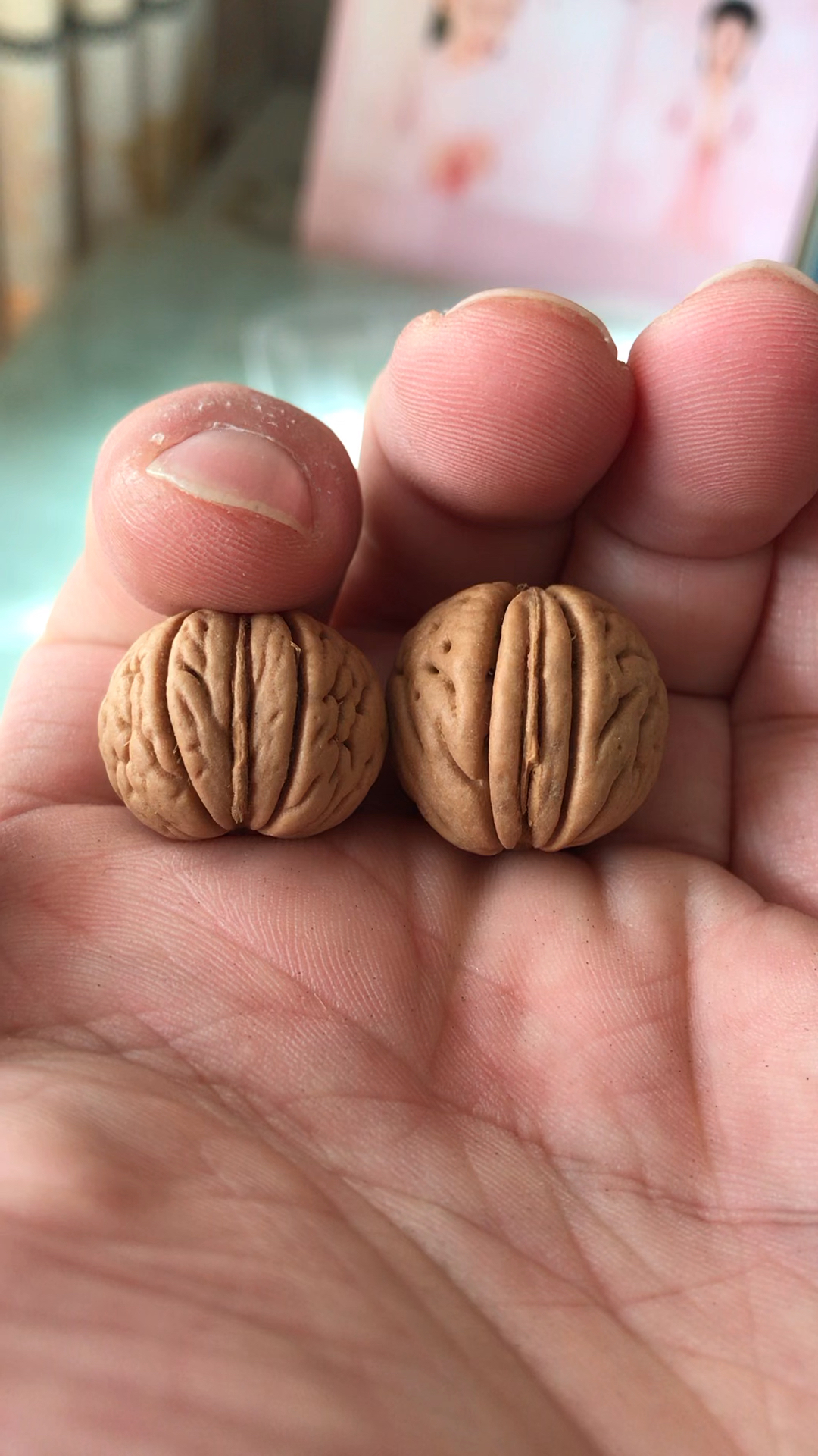 磨盘桃核有两种大家请注意